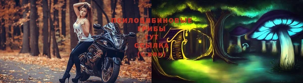 кокс Аркадак