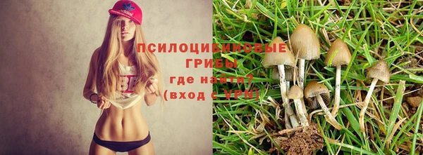 MESCALINE Арсеньев
